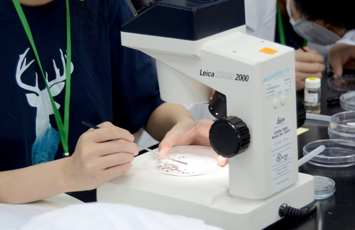 Copy from 2026孟德爾冬季種子營 第二梯次