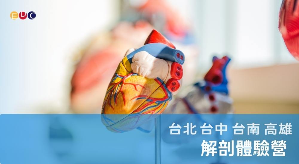 【EDC專長探索中心】解剖體驗營 【EDC專長探索中心】解剖體驗營